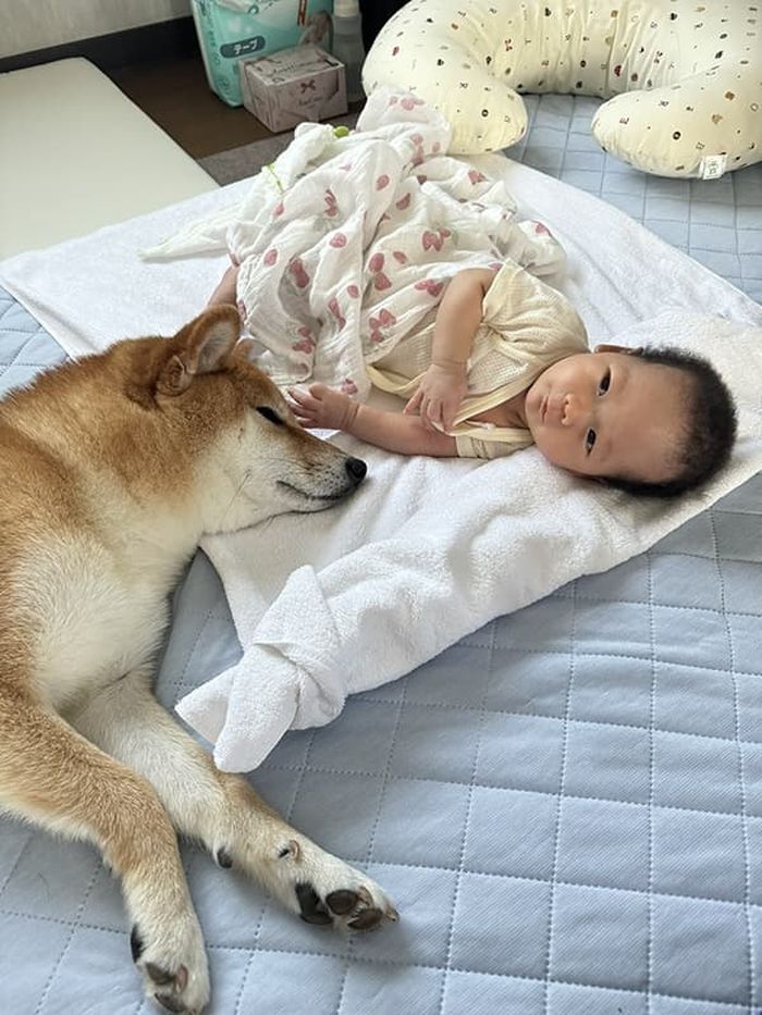 애니멀플래닛