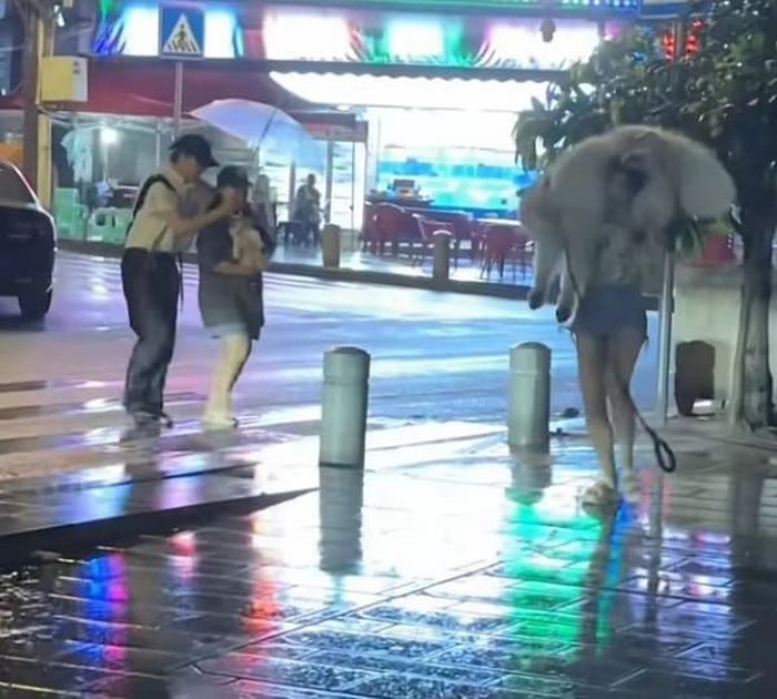 애니멀플래닛