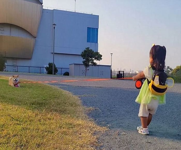 애니멀플래닛
