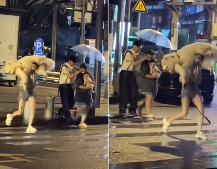 애니멀플래닛