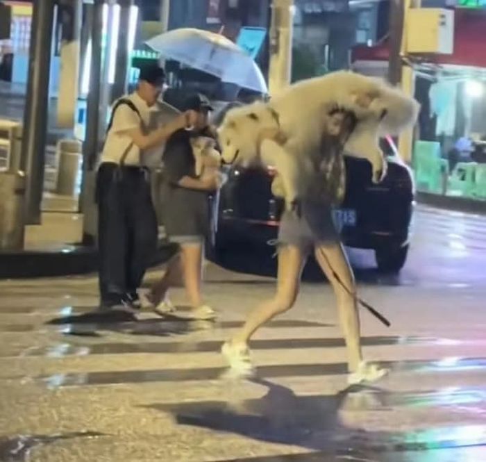 애니멀플래닛