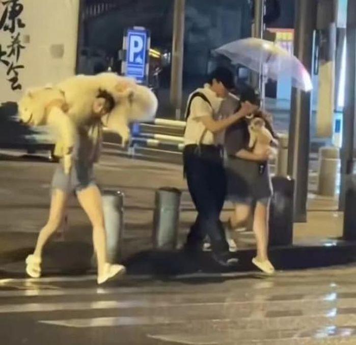애니멀플래닛