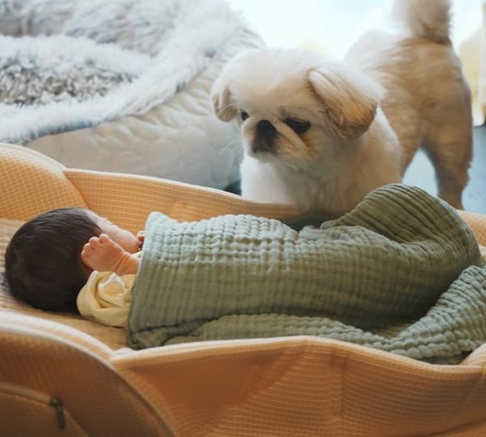 애니멀플래닛