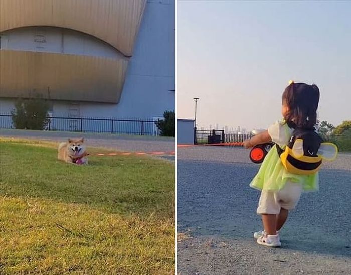 애니멀플래닛