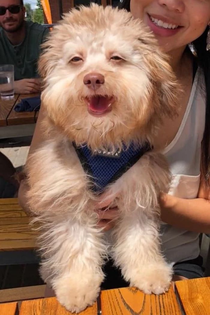 애니멀플래닛
