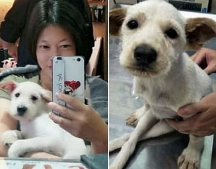 애니멀플래닛