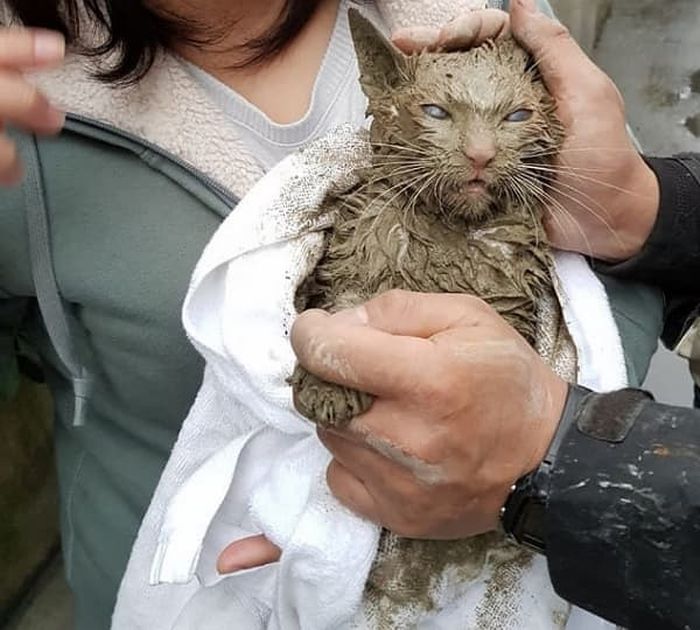 애니멀플래닛