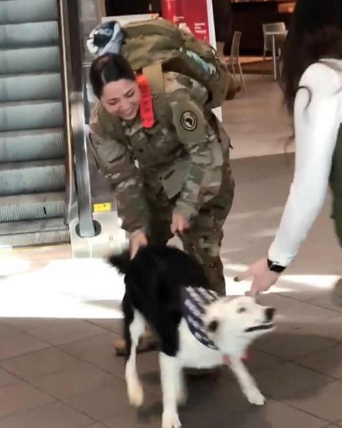 애니멀플래닛