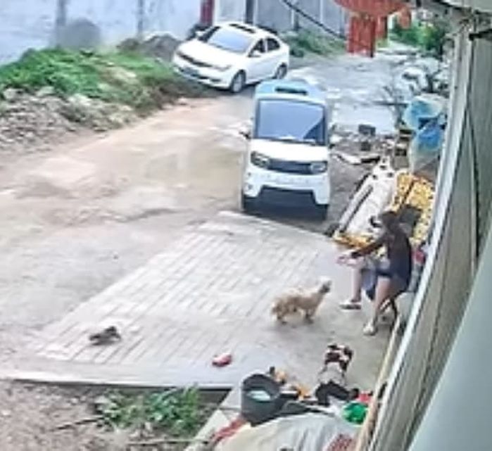 애니멀플래닛