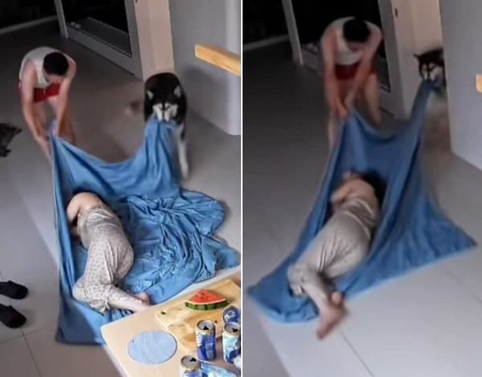 애니멀플래닛