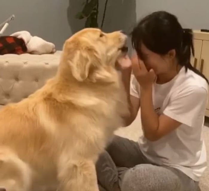 애니멀플래닛
