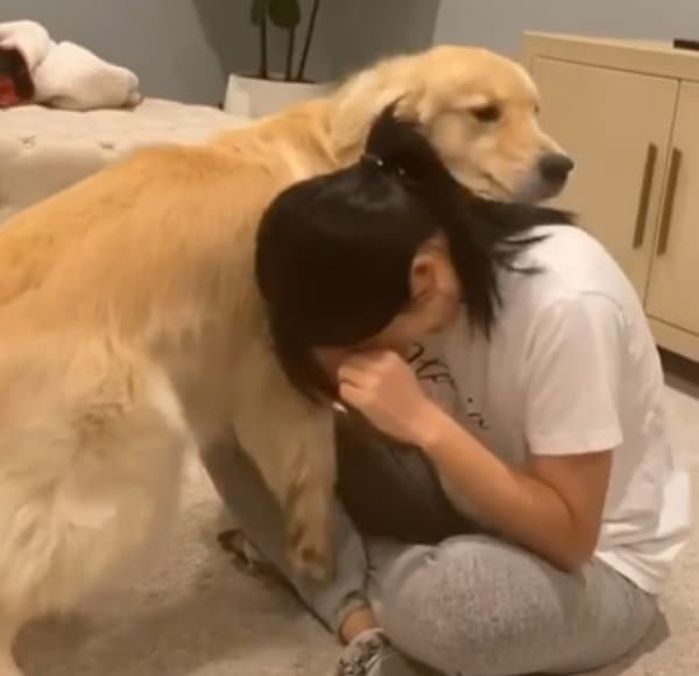 애니멀플래닛