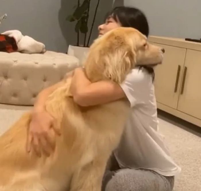 애니멀플래닛