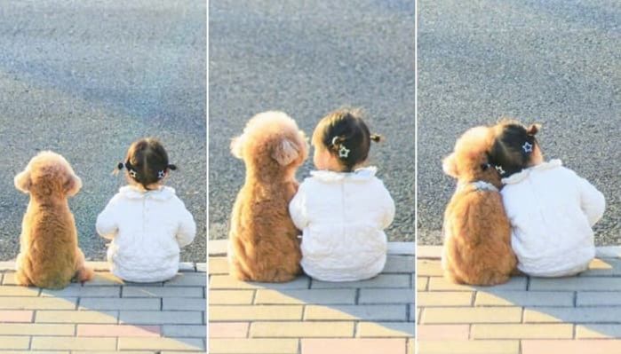 애니멀플래닛