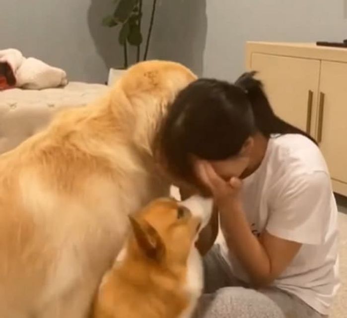 애니멀플래닛