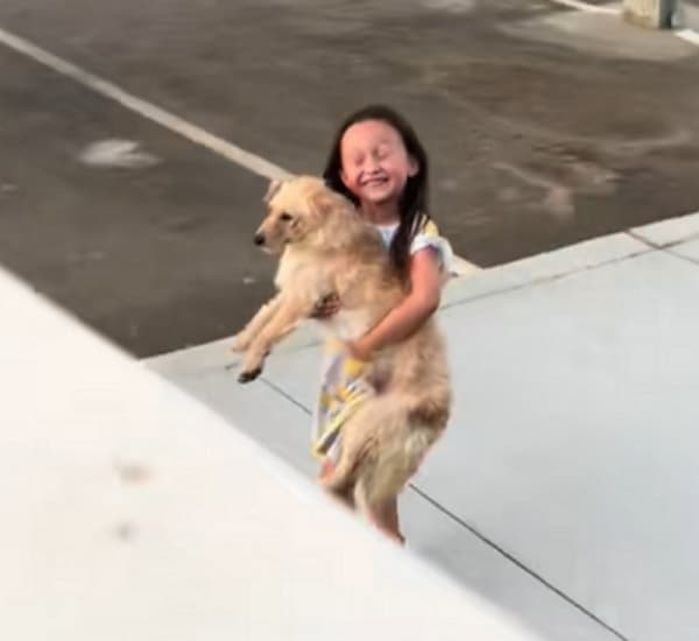 애니멀플래닛