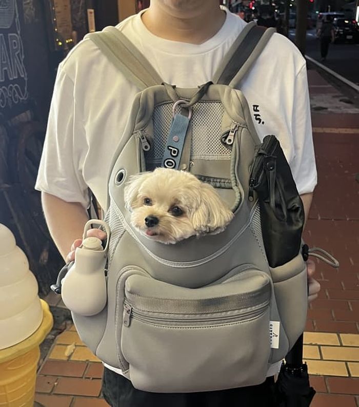 애니멀플래닛