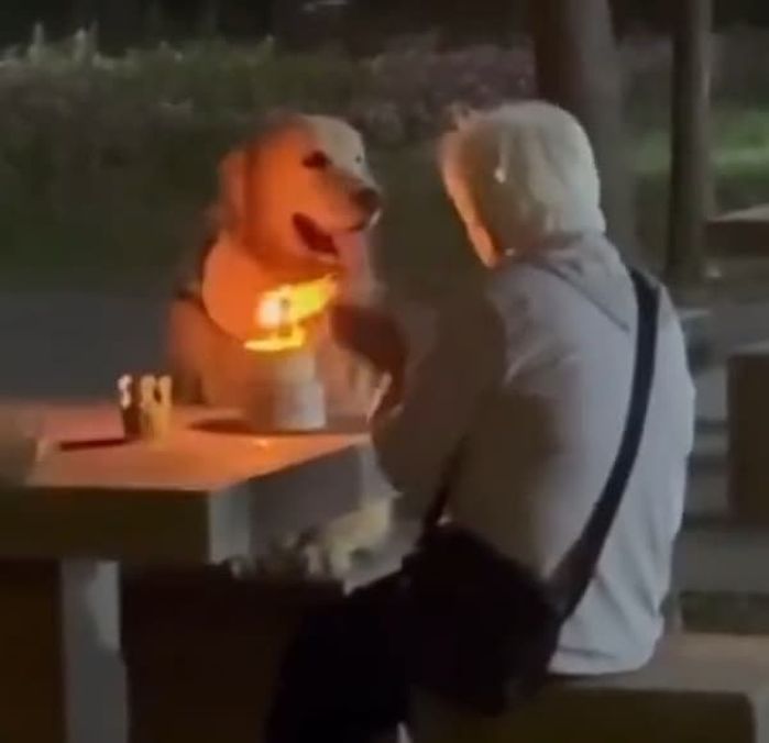 애니멀플래닛