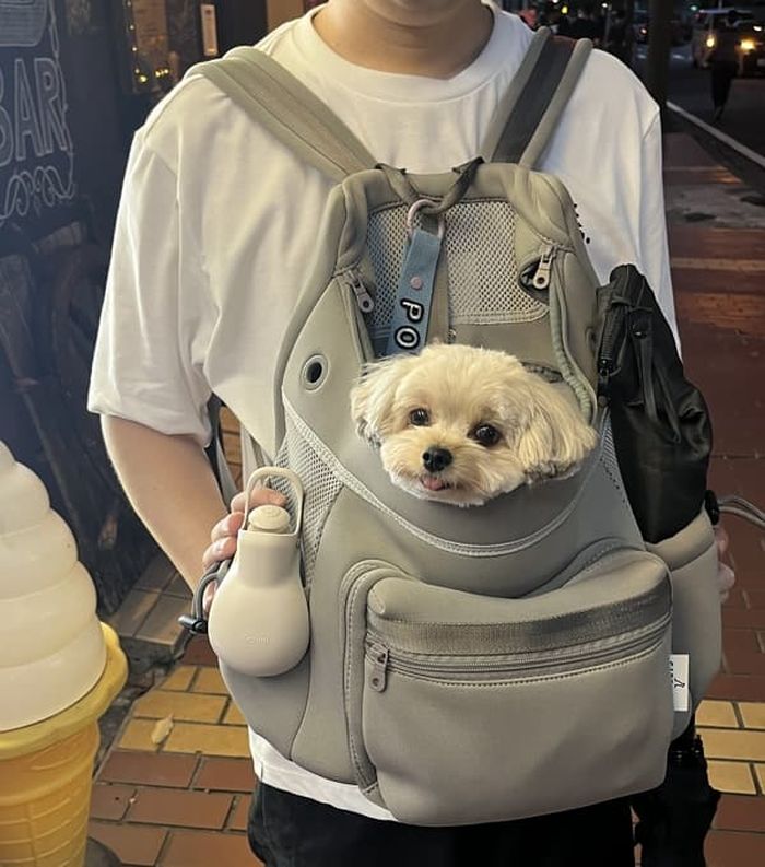 애니멀플래닛