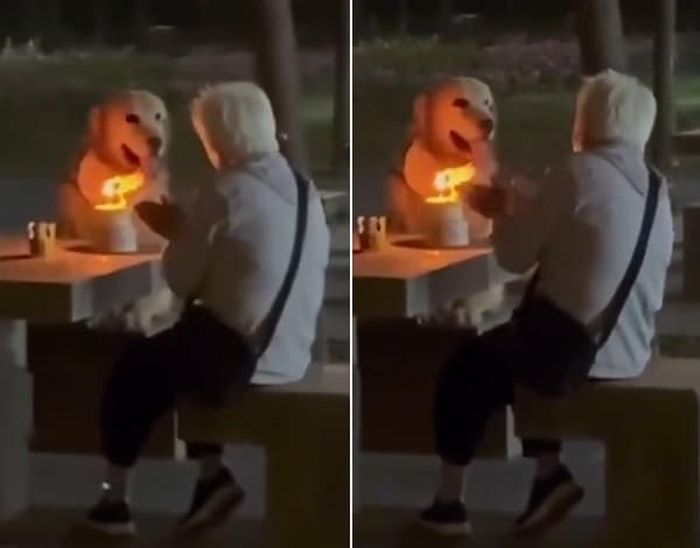 애니멀플래닛