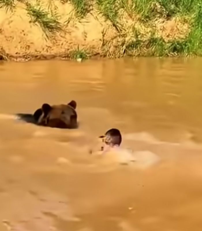 애니멀플래닛