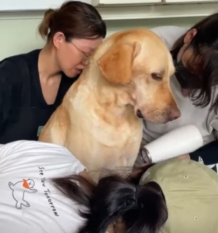 애니멀플래닛