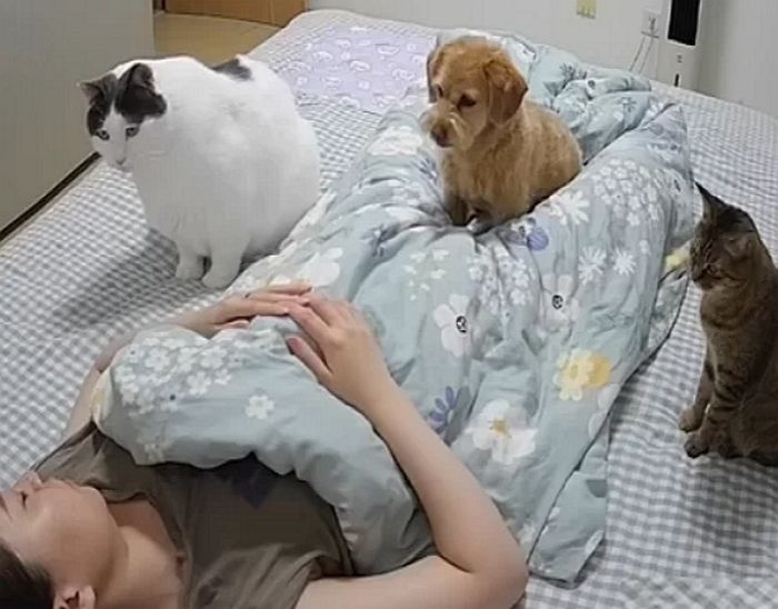 애니멀플래닛
