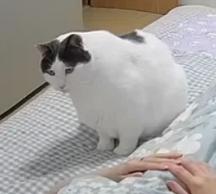 애니멀플래닛