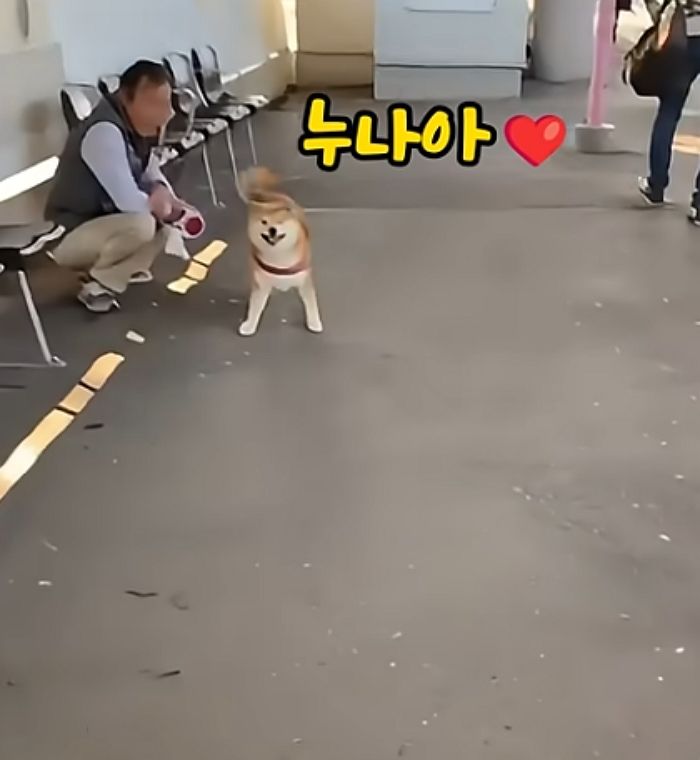 애니멀플래닛