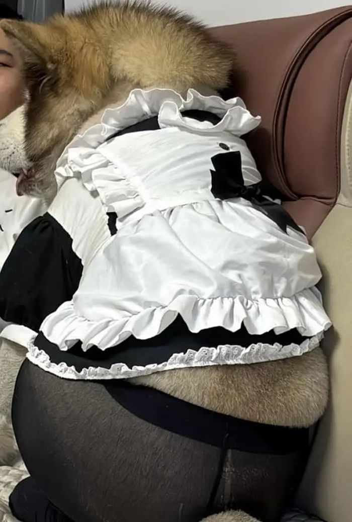 애니멀플래닛