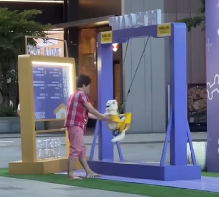 애니멀플래닛