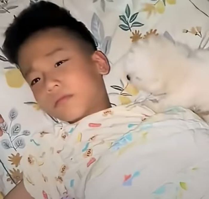 애니멀플래닛