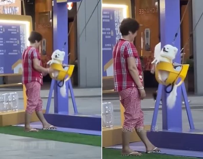 애니멀플래닛
