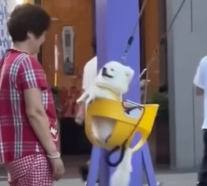 애니멀플래닛