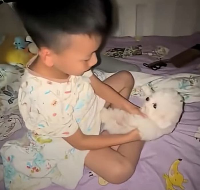 애니멀플래닛