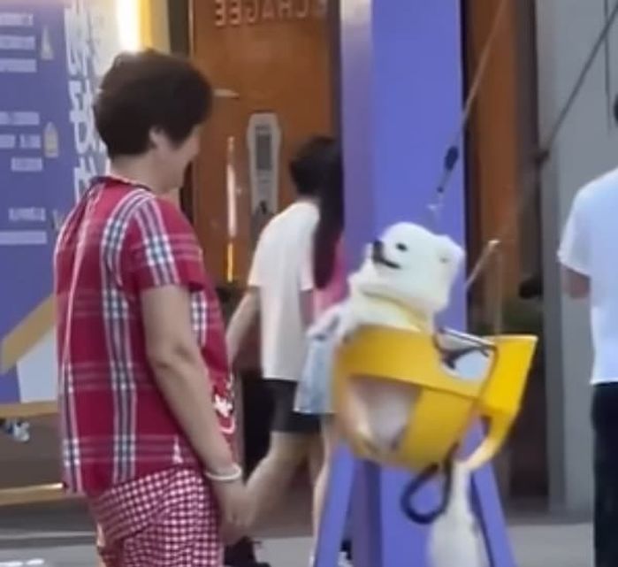 애니멀플래닛