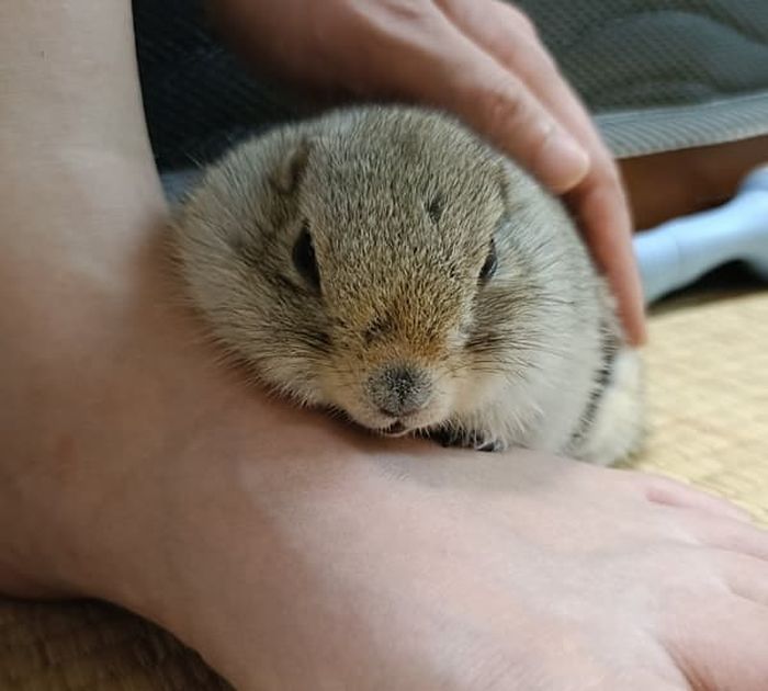 애니멀플래닛