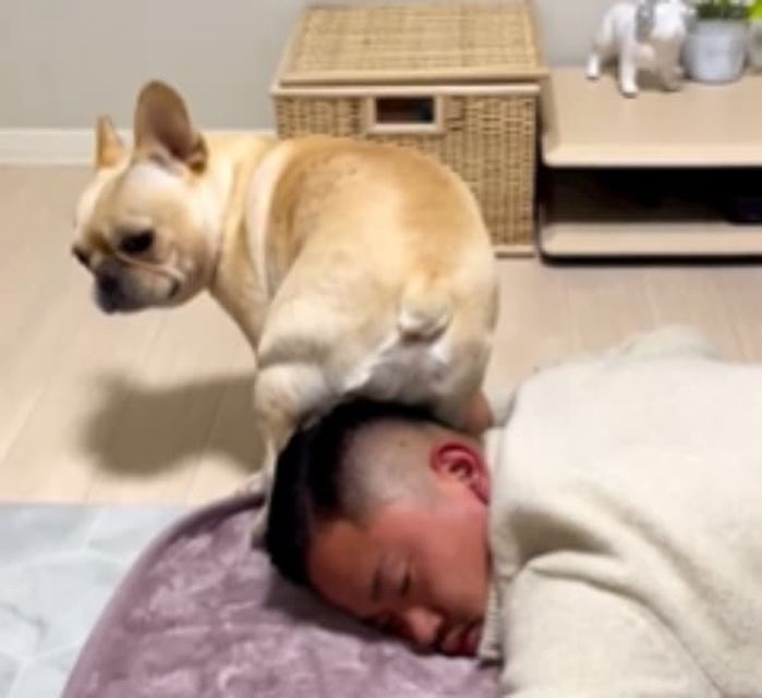 애니멀플래닛