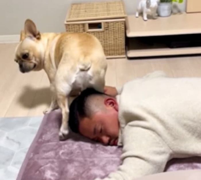 애니멀플래닛