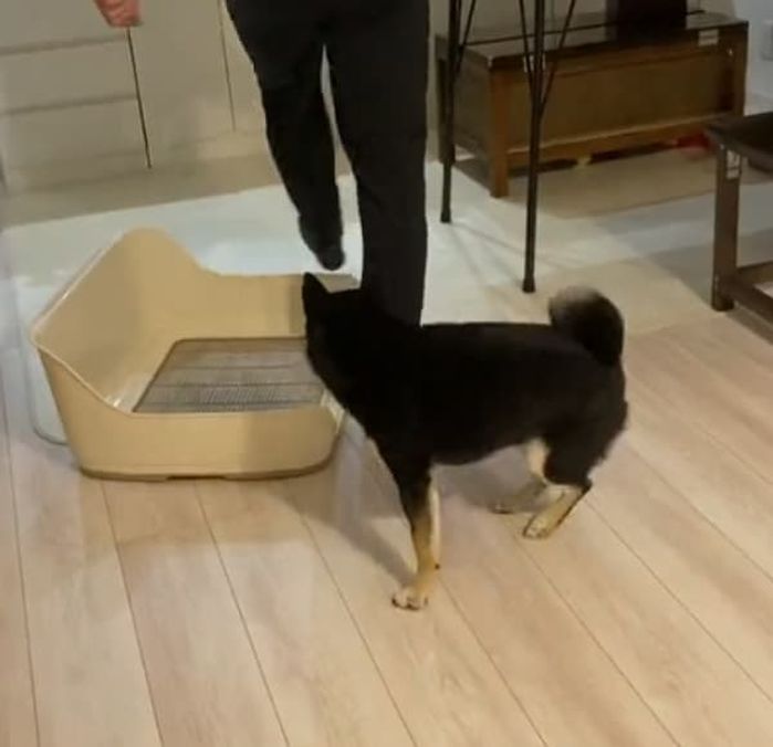 애니멀플래닛