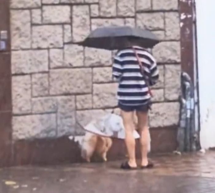 애니멀플래닛