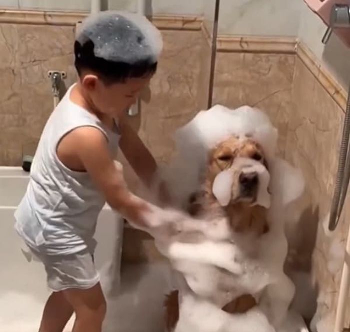 애니멀플래닛