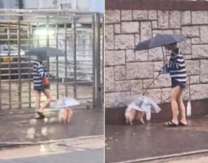애니멀플래닛
