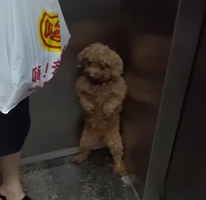 애니멀플래닛