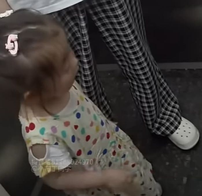 애니멀플래닛