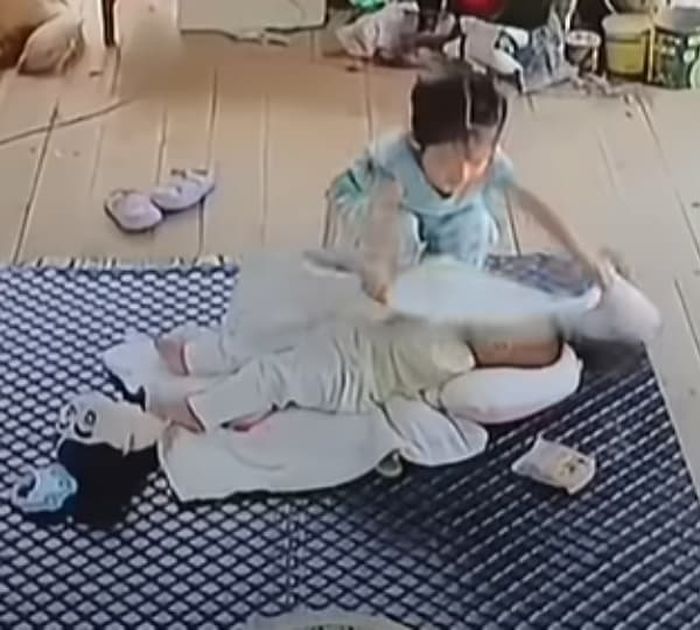 애니멀플래닛