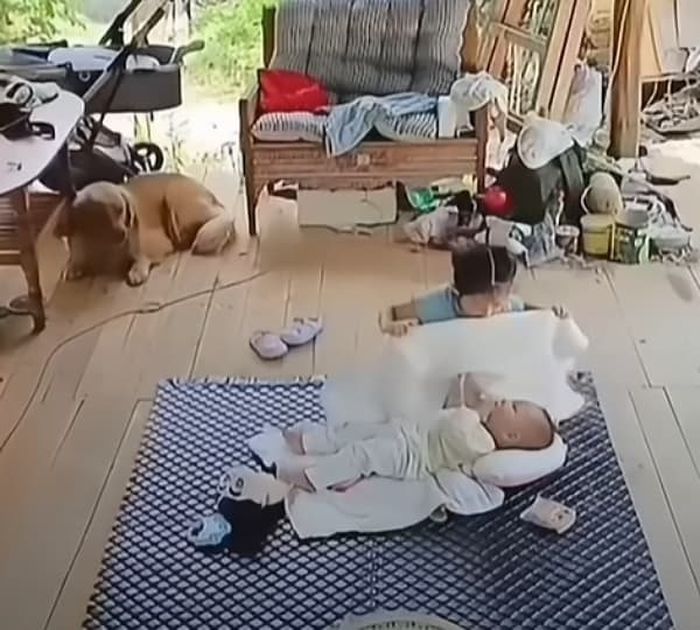 애니멀플래닛