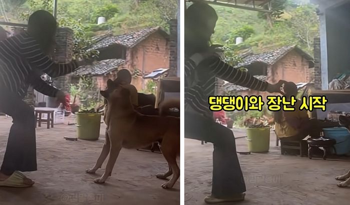애니멀플래닛