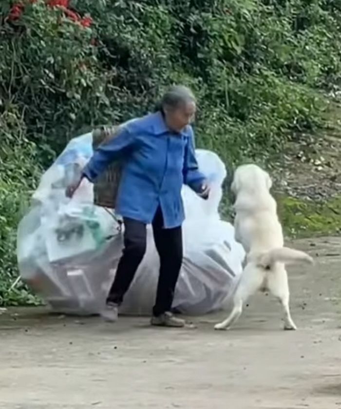 애니멀플래닛
