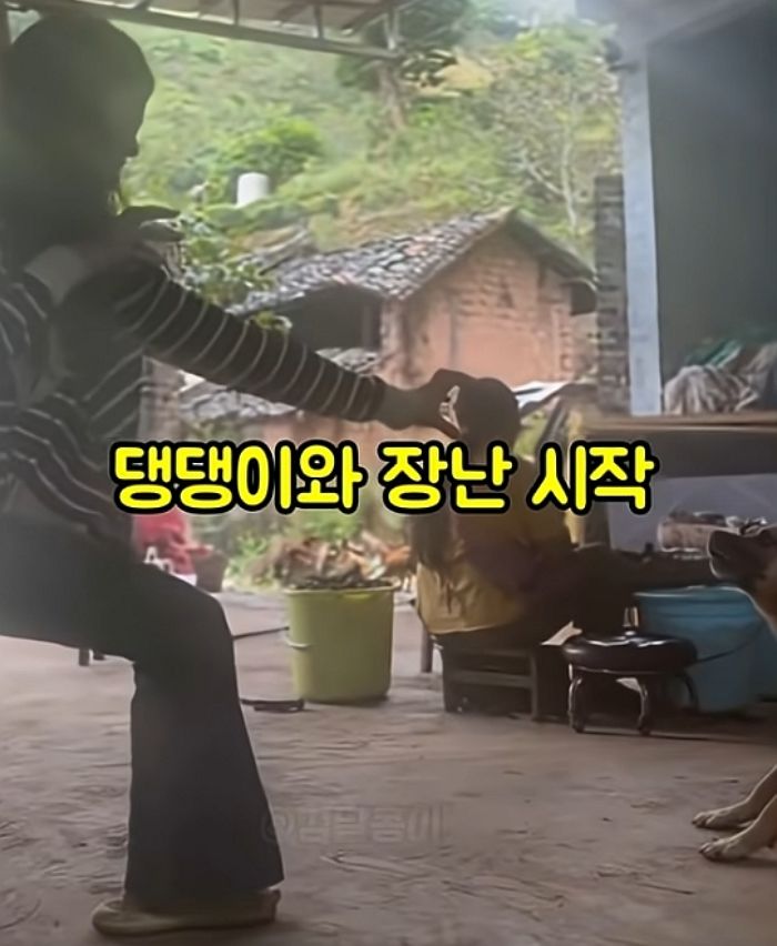 애니멀플래닛